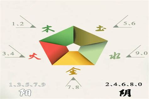 九 五行|数字对应啥五行